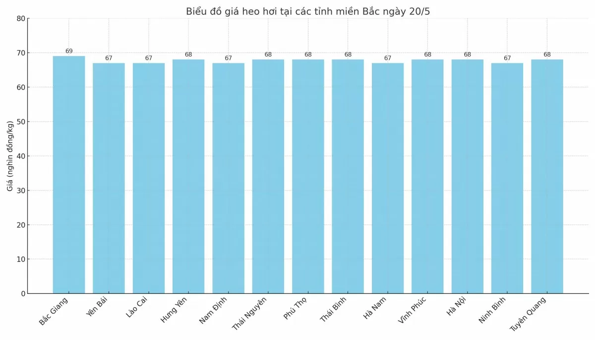 Biểu đồ giá heo hơi tại các tỉnh miền Bắc ngày 20/5.