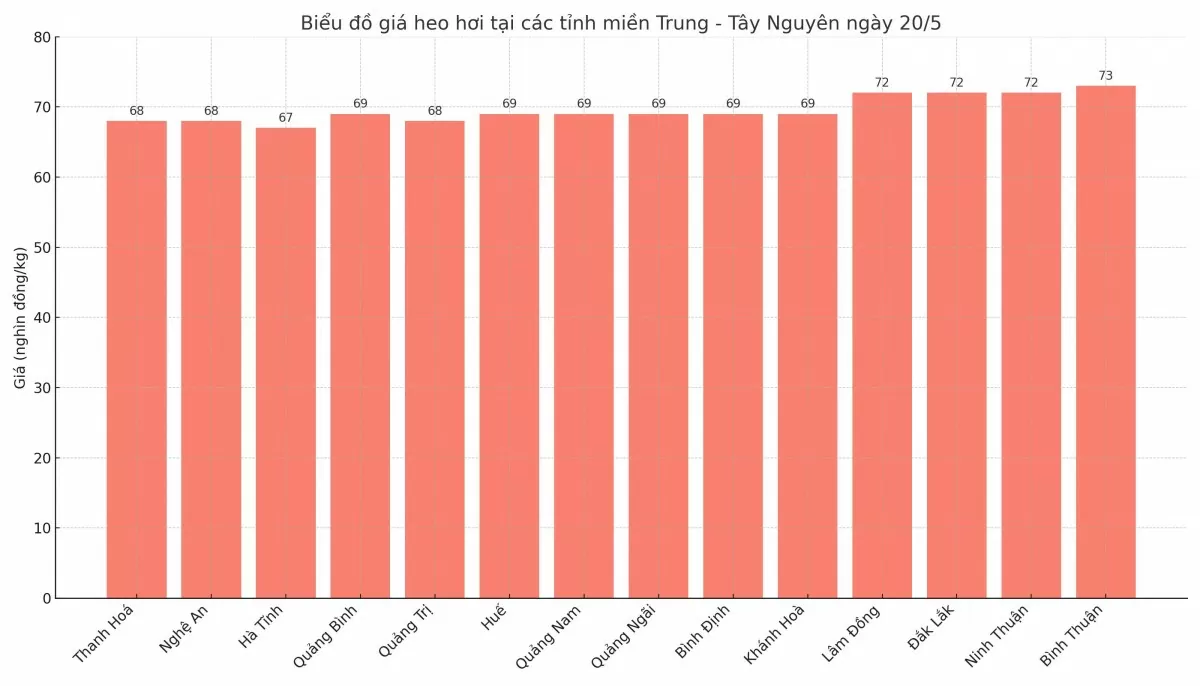 Biểu đồ giá heo hơi tại các tỉnh miền Trung - Tây Nguyên ngày 20/5.