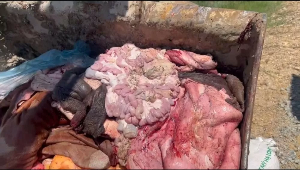 thực phẩm bẩn hà tĩnh thực phẩm bẩn hà tĩnh