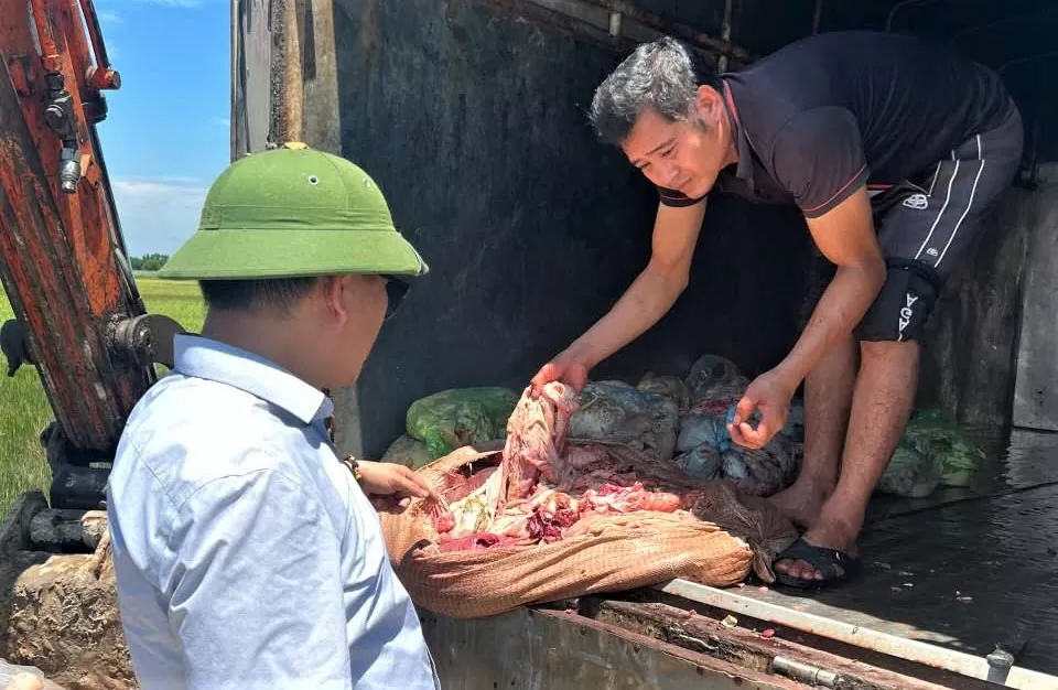 thực phẩm bẩn hà tĩnh thực phẩm bẩn hà tĩnh