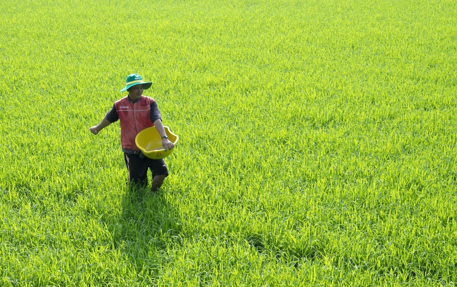 PVCFC triển khai cụm công trình ứng dụng khoa học công nghệ hướng đến mục tiêu phát triển bền vững PVCFC triển khai cụm công trình ứng dụng khoa học công nghệ hướng đến mục tiêu phát triển bền vững