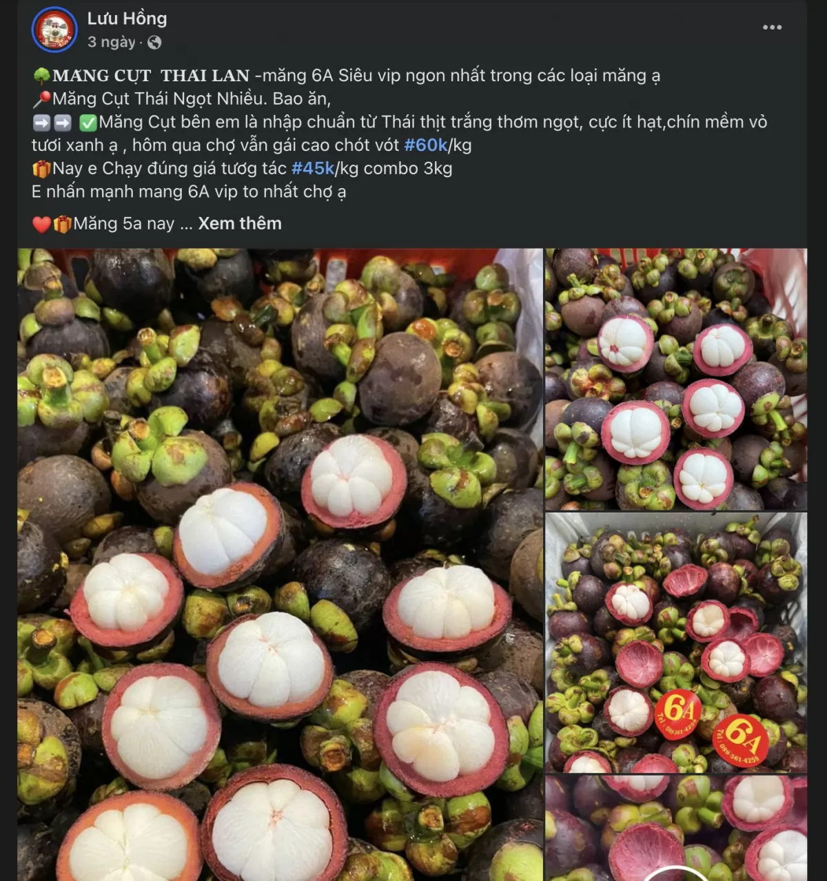 Măng cụt Thái 'làm mưa, làm gió' thị trường trái cây Việt Măng cụt Thái 'làm mưa, làm gió' thị trường trái cây Việt