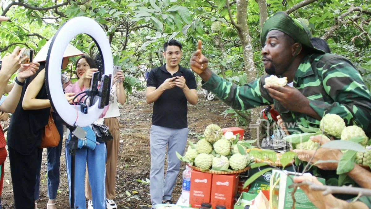 Thái Nguyên: Thúc đẩy tiêu thụ nông sản qua nền tảng số Thái Nguyên: Thúc đẩy tiêu thụ nông sản qua nền tảng số