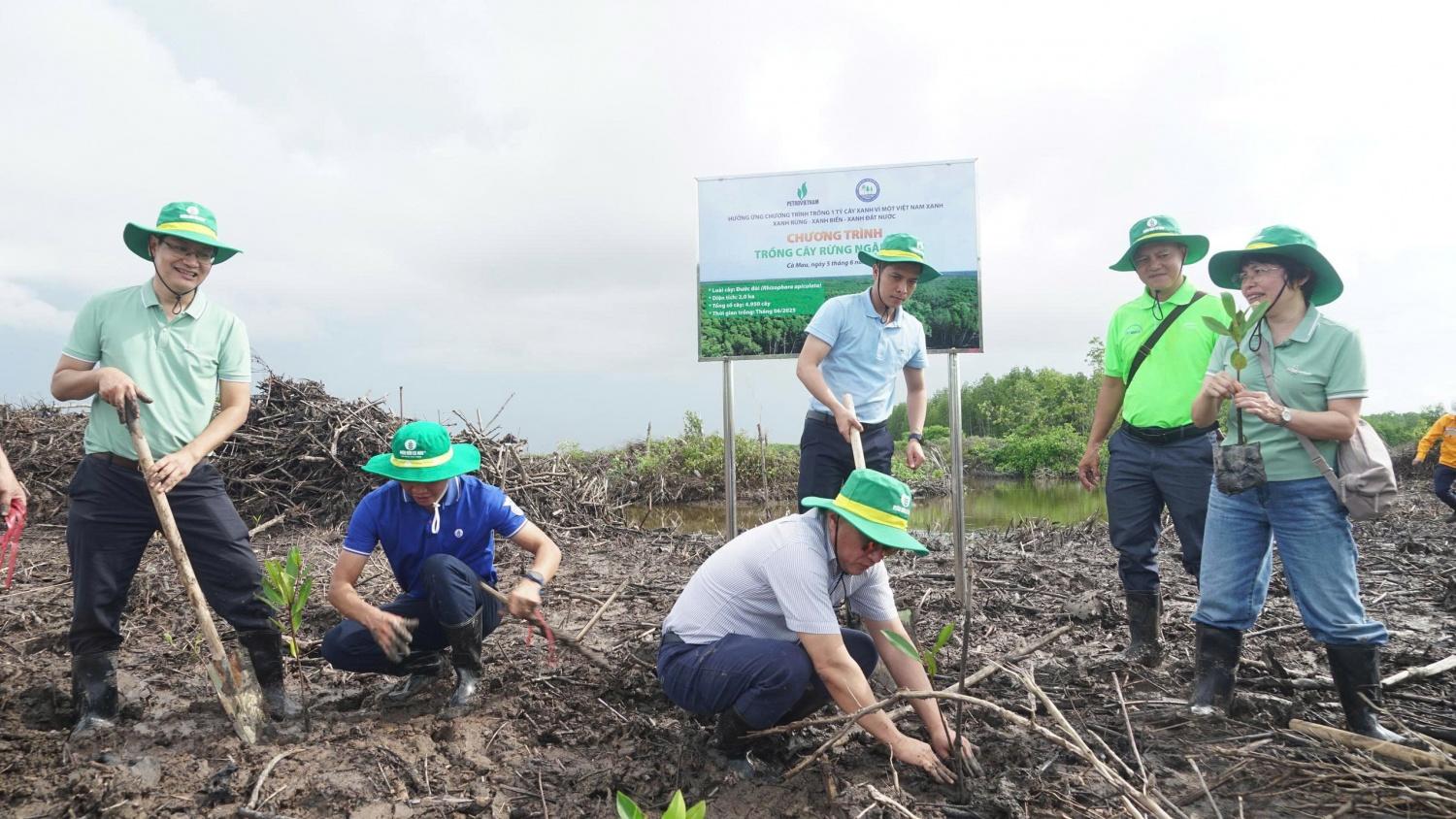Petrovietnam phát động trồng cây rừng ngập mặn tại Cà Mau hưởng ứng Ngày Môi trường Thế giới Petrovietnam phát động trồng cây rừng ngập mặn tại Cà Mau hưởng ứng Ngày Môi trường Thế giới
