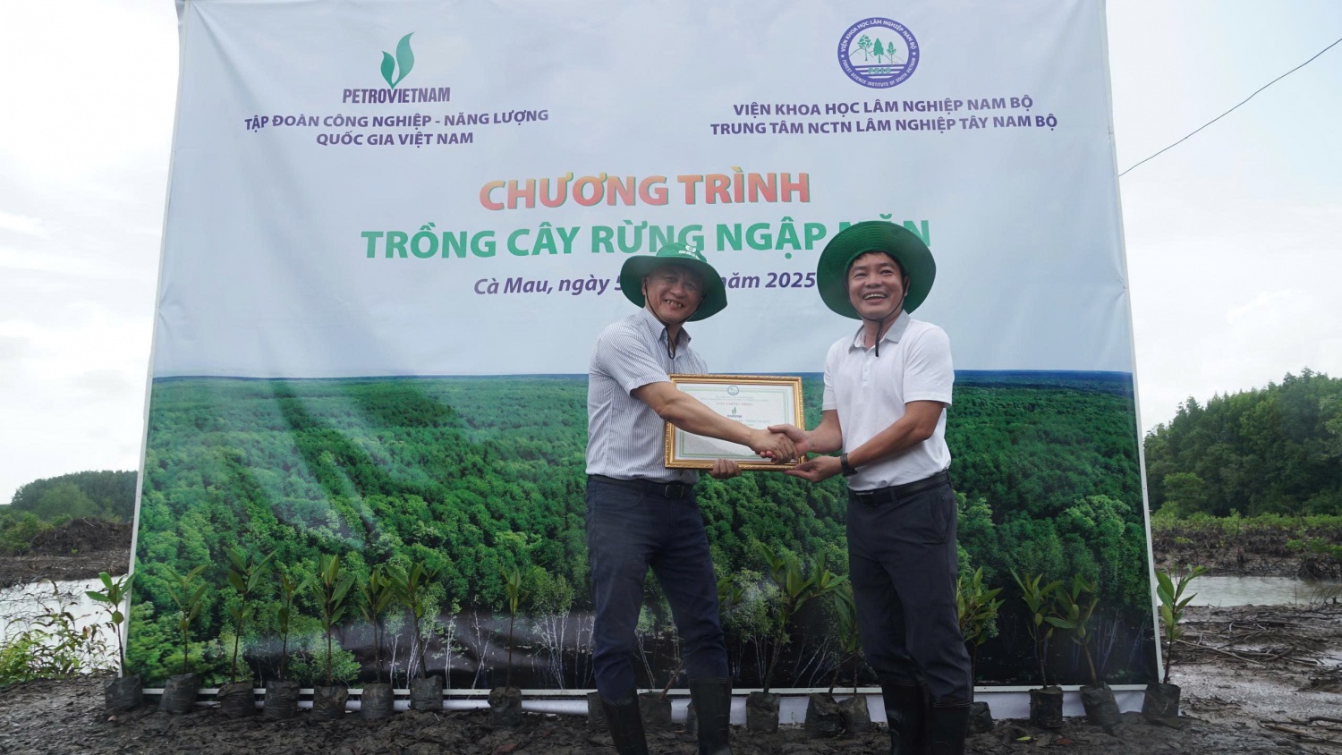 Petrovietnam phát động trồng cây rừng ngập mặn tại Cà Mau hưởng ứng Ngày Môi trường Thế giới Petrovietnam phát động trồng cây rừng ngập mặn tại Cà Mau hưởng ứng Ngày Môi trường Thế giới