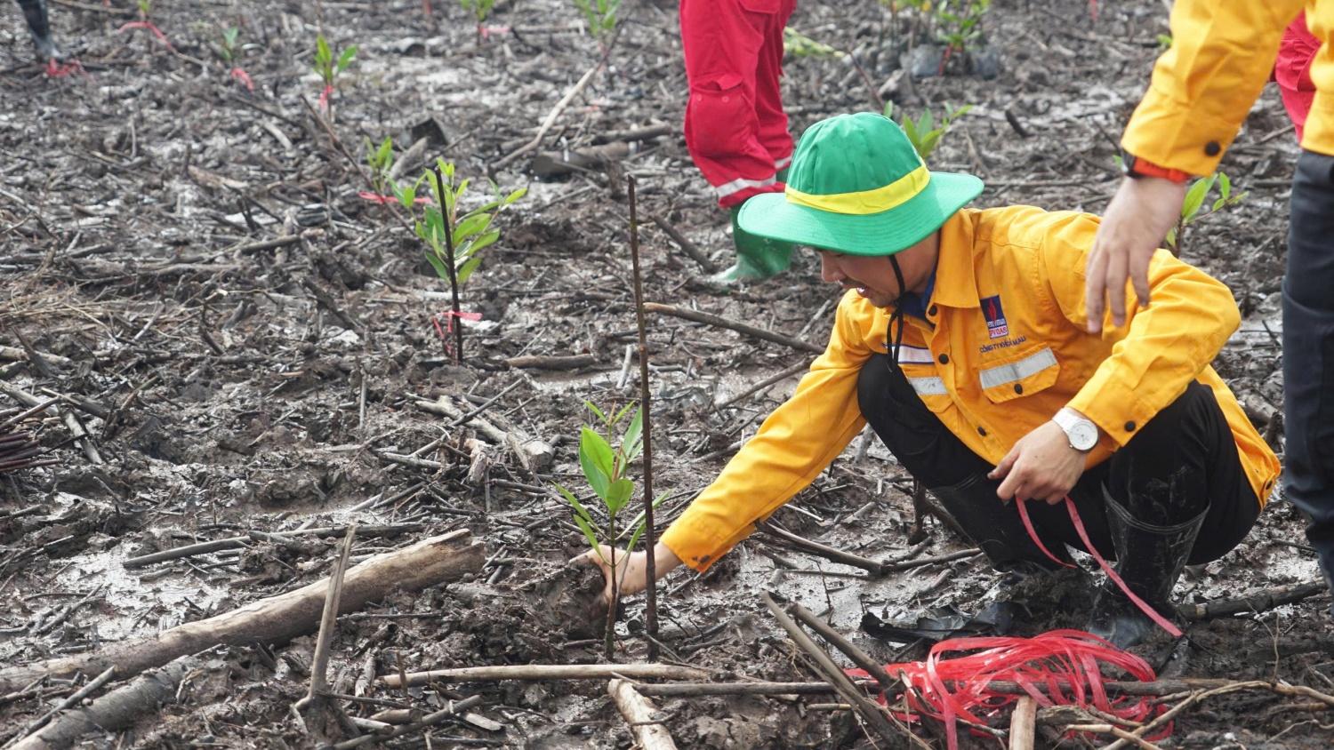Petrovietnam phát động trồng cây rừng ngập mặn tại Cà Mau hưởng ứng Ngày Môi trường Thế giới Petrovietnam phát động trồng cây rừng ngập mặn tại Cà Mau hưởng ứng Ngày Môi trường Thế giới