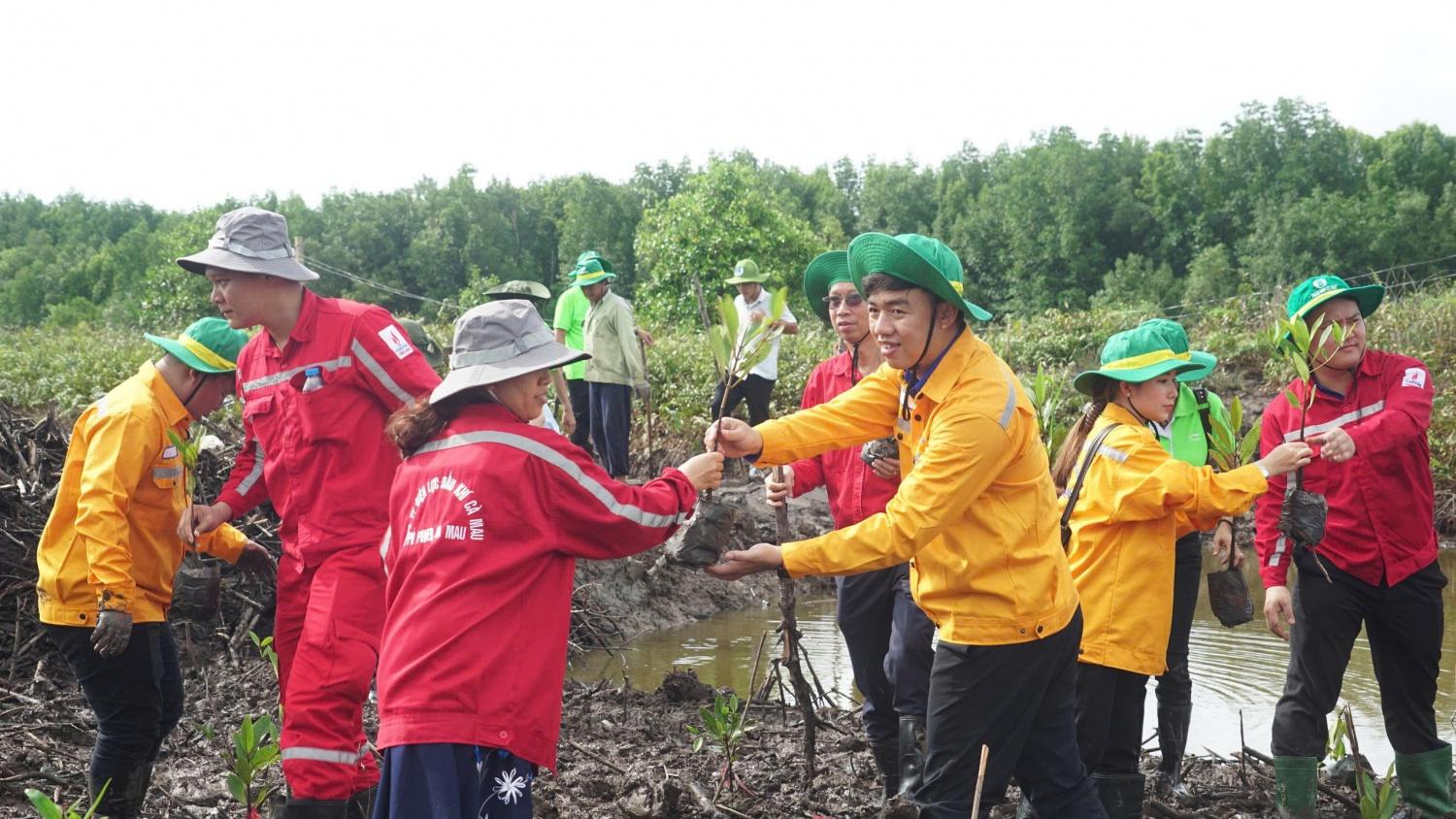 Petrovietnam phát động trồng cây rừng ngập mặn tại Cà Mau hưởng ứng Ngày Môi trường Thế giới Petrovietnam phát động trồng cây rừng ngập mặn tại Cà Mau hưởng ứng Ngày Môi trường Thế giới