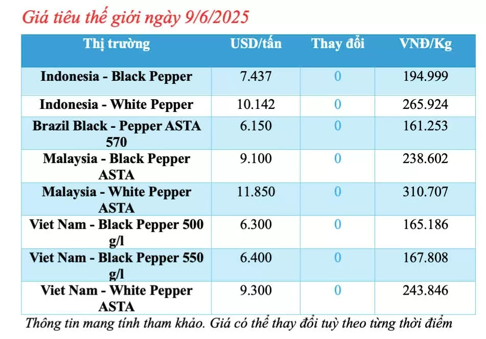 Giá tiêu hôm nay 9/6/2025: trong nước neo ngưỡng khá cao