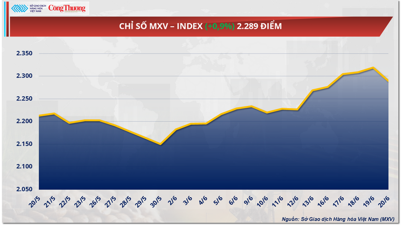 Chỉ số MXV-Index