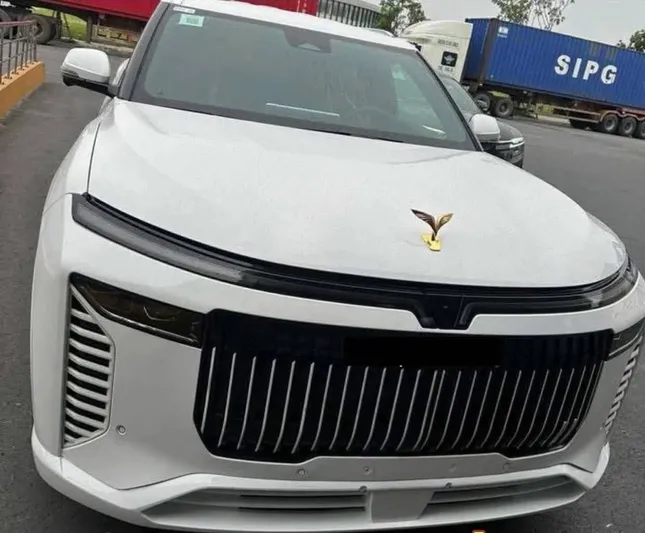 Thêm chi tiết mới của VinFast VF 9 bản đặc biệt- Ảnh 1.