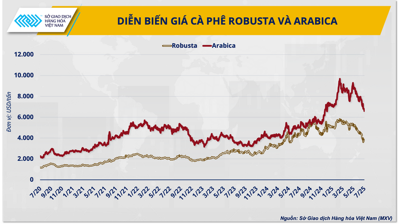 Diễn biến giá cà phê Robusta và Arabica