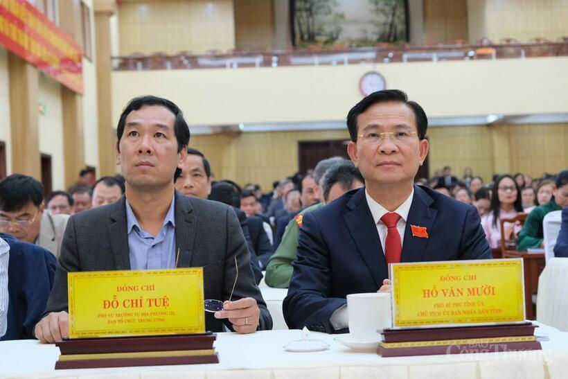 Các đại biểu tham dự hội nghị
