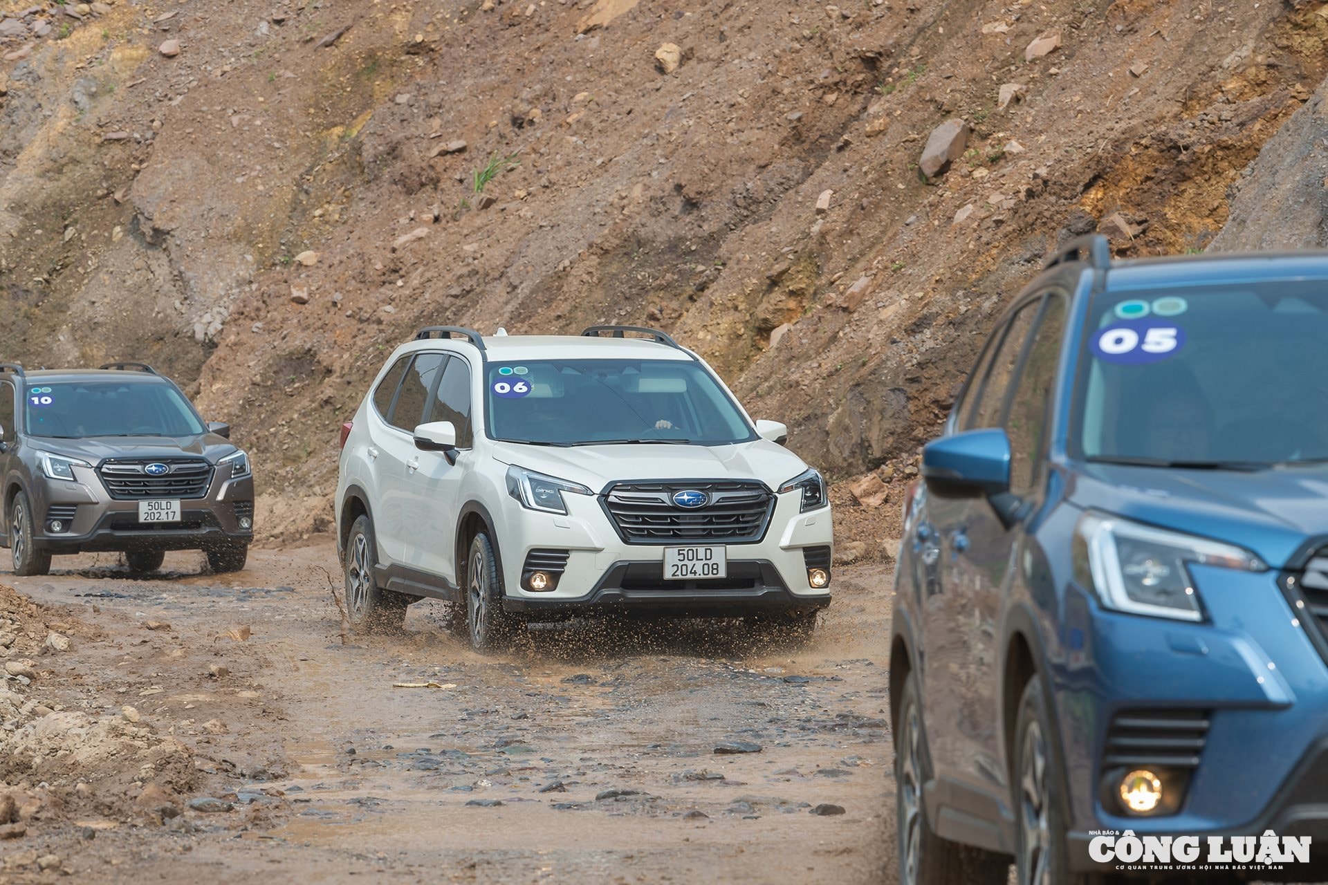 Subaru Forester là một trong những mẫu xe có khả năng vận hành ổn định nhất ở phân khúc gầm cao cỡ C - Ảnh: ĐT