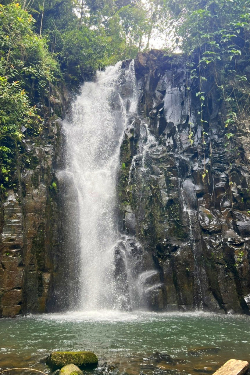 Thác nằm giữa rừng cây nguyên sinh cao khoảng 50m. Đáng chú ý, từ thác chính đi ngược dòng suối khoảng 500 - 700m, đoàn khảo sát gặp thác phụ cao khoảng 20m. Ảnh: UBND xã Kon Plông