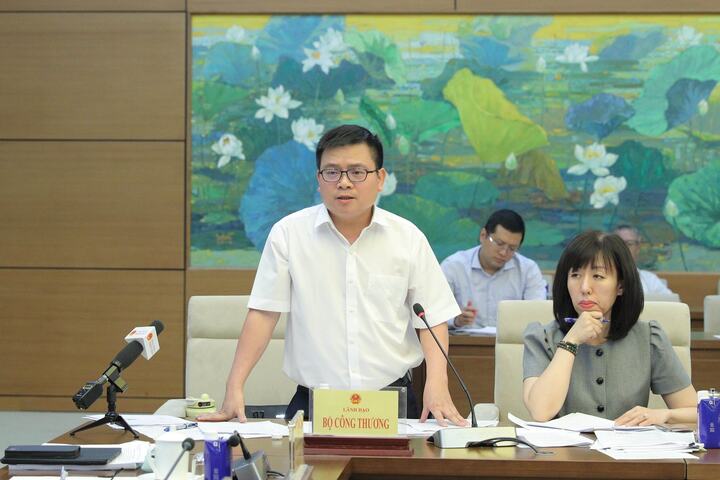 Thứ trưởng Bộ Công Thương Trương Thanh Hoài báo cáo với Đoàn giám sát. Ảnh: Hồ Long