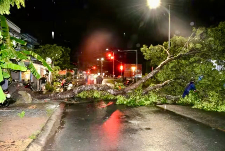 Cây xanh gãy đổ do dông lốc. Ảnh: CTV