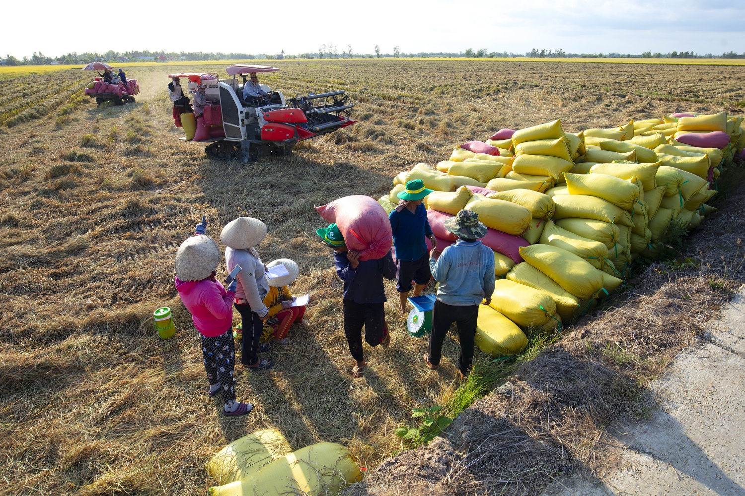 Đảng bộ PVCFC khẳng định vị thế và khát vọng phát triển trong nhiệm kỳ mới