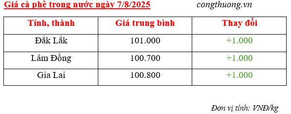 Bảng giá cà phê trong nước sáng ngày 7/8/2025