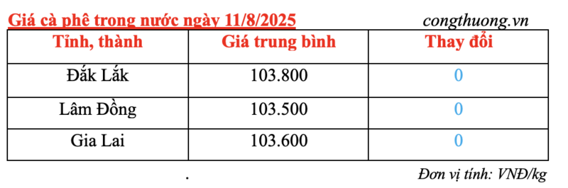 Giá cà phê trong nước duy trì ổn định và neo mức cao, được cập nhật vào sáng ngày 11/8/2025