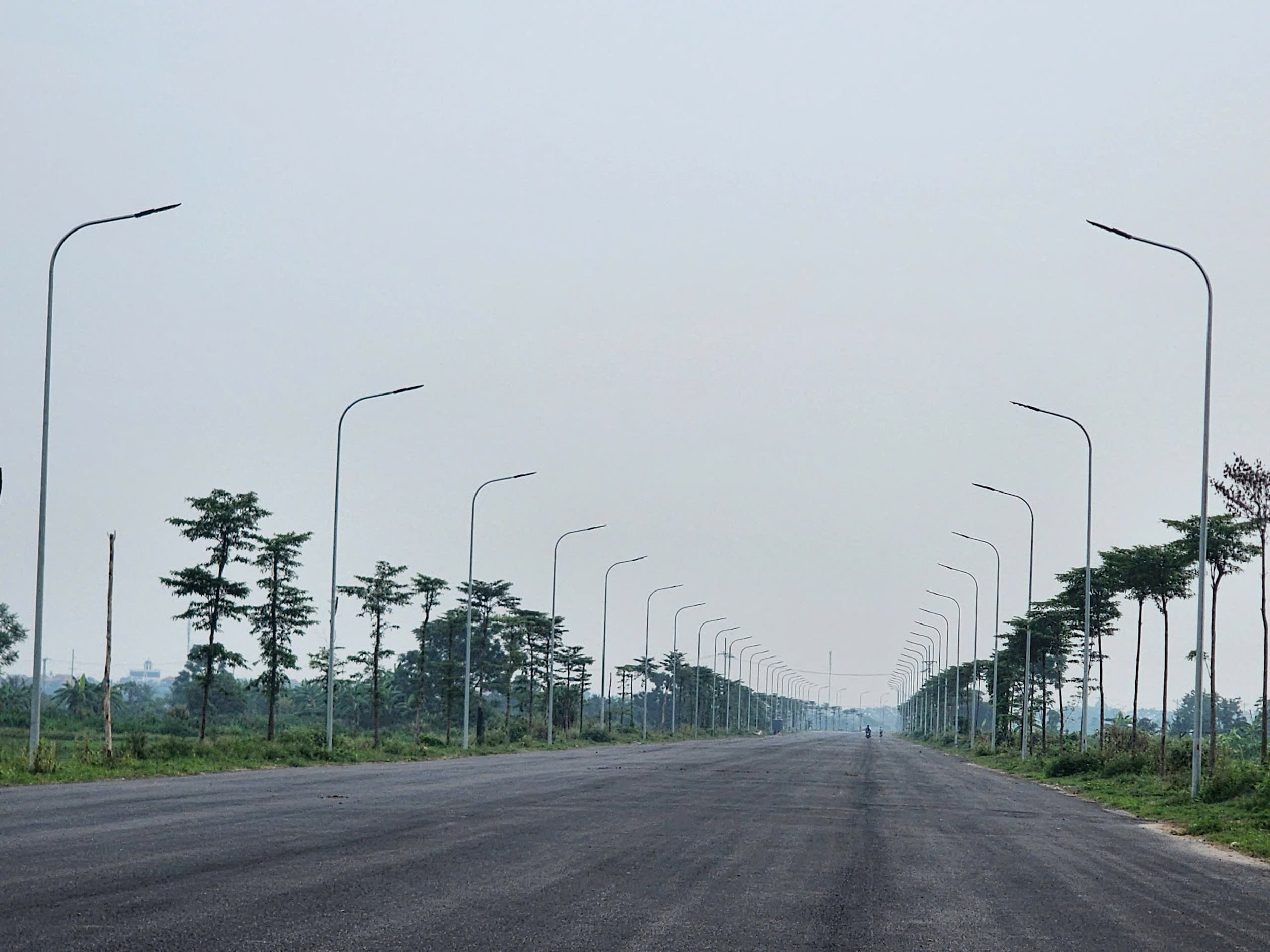 đường phượng dực văn hoàng