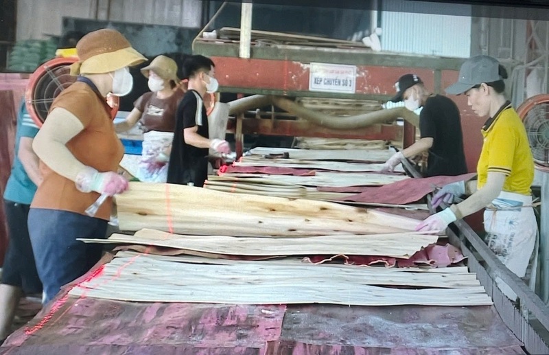 Mô hình trình diễn gỗ ván ép phục vụ thị trường nội địa và xuất khẩu của Công ty TNHH lâm sản Đại Phát vận hành trong chương trình kiểm tra của Đoàn kiểm tra Cục Đổi mới sáng tạo, Chuyển đổi xanh và Khuyến công. Ảnh: Xuân Phong