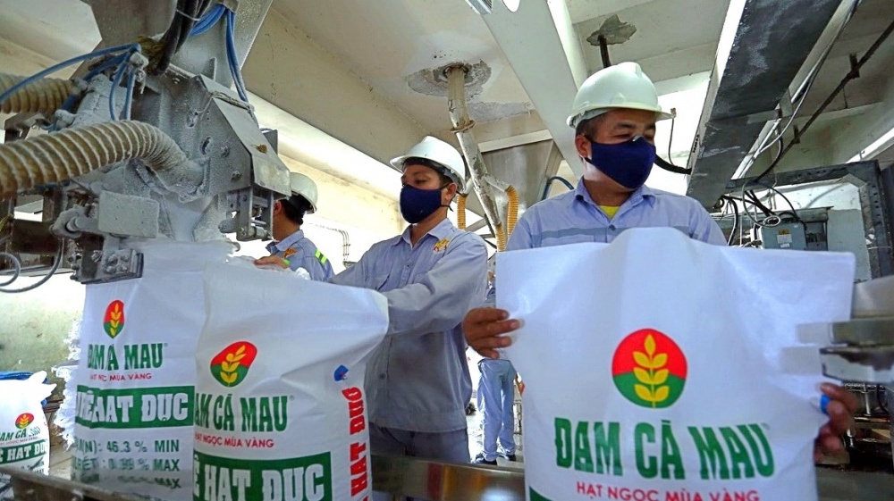 Điểm sáng ngành phân bón quý II/2025: DPM và DCM bứt phá Điểm sáng ngành phân bón quý II/2025: DPM và DCM bứt phá