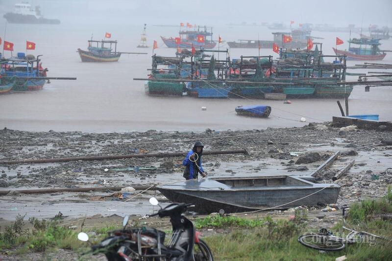 Bão số 5 đã áp sát đất liền, ngư dân hối hả bảo vệ tài sản