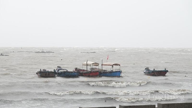 Nhiều thuyền bè của ngư dân đã được giằng néo an toàn trước khi bão đổ bộ