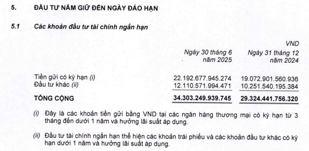 Thế Giới Di Động chi 200 tỷ mua trọn lô trái phiếu một công ty chứng khoán- Ảnh 2. Thế Giới Di Động chi 200 tỷ mua trọn lô trái phiếu một công ty chứng khoán- Ảnh 2.