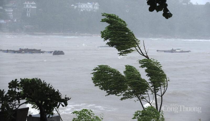 Dự báo, sức gió mạnh nhất sẽ vào khoảng 12h trưa đến 18h chiều ngày 25/8