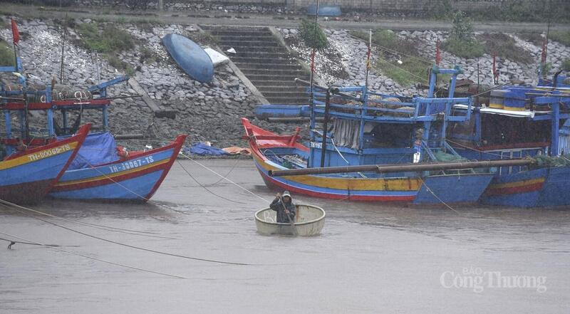 Ngư dân kiểm tra tàu thuyền lần cuối trước khi về nơi trú bão