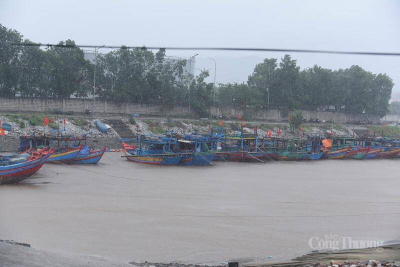 Nhiều tàu thuyền đã được neo đậu an toàn