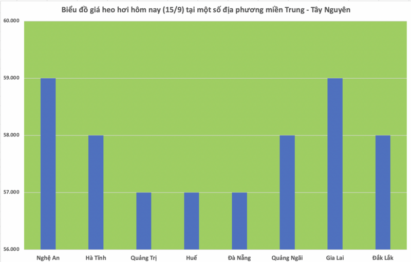 Biểu đồ giá heo hơi sáng nay 15/9 tại một số địa phương miền Trung - Tây Nguyên