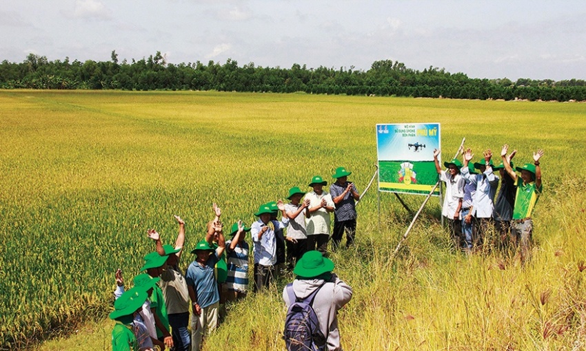 Petrovietnam và vai trò trụ cột an ninh lương thực quốc gia