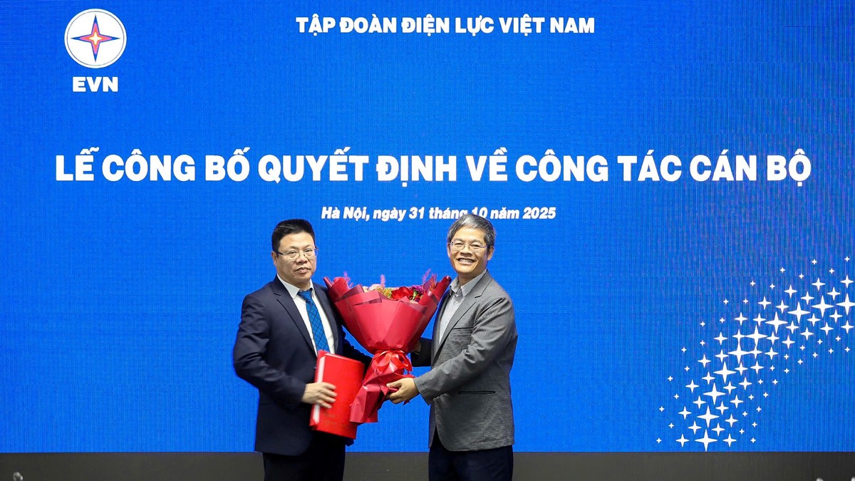 Công bố quyết định bổ nhiệm Giám đốc Ban Quản lý Dự án Điện 2