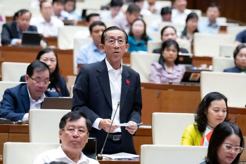 Đại biểu Trần Hoàng Ngân - đoàn TP. Hồ Chí Minh. Ảnh: QH