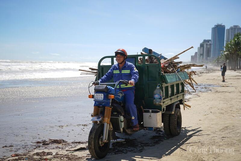 Hàng chục tấn rác thải được thu gom trong ngày 7/11, chủ yếu là cành cây, gỗ mục...