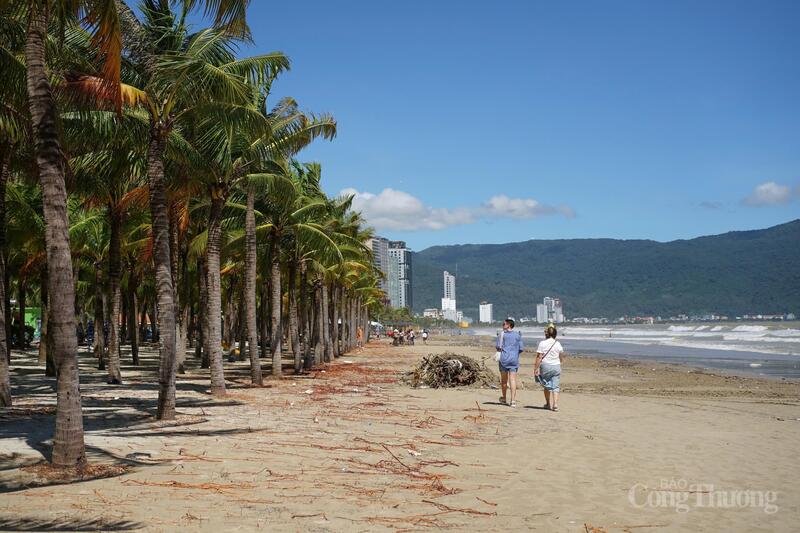 Khẩn trương thu gom rác làm sạch bờ biển Đà Nẵng.
