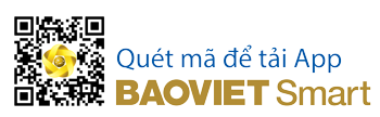 Ra mắt tính năng tạo mã QR cho giao dịch thanh toán phí bảo hiểm Nhân thọ trên BAOVIET Smart - Ảnh 1