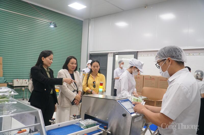 Hệ thống máy móc mới giúp Công ty Mỹ Phương Food đáp ứng tốt hơn yêu cầu tiến độ cũng chất lượng các đơn hàng xuất khẩu