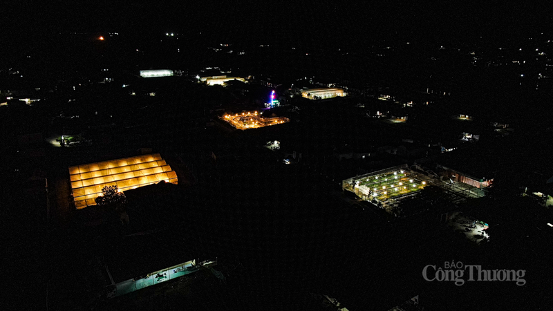 Không còn là những mảnh vườn nhỏ lẻ, Xuân Sơn nay đã hình thành vùng sản xuất tập trung với quy mô lớn.