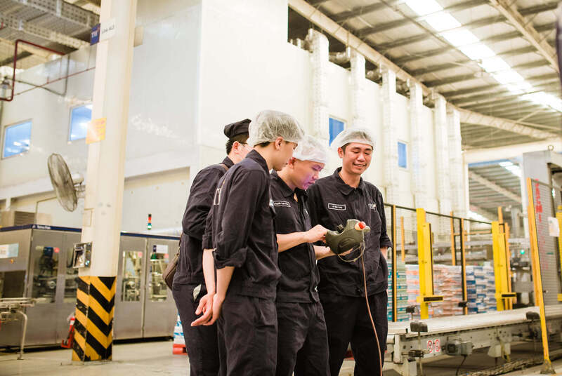 Đội ngũ nhân lực chất lượng cao làm việc tại Tập đoàn TH.