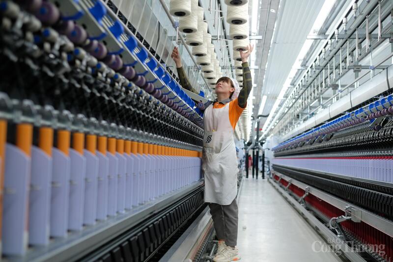 Kim ngạch xuất khẩu năm 2025 Lâm Đồng hoàn thành kế hoạch đặt ra, trong đó dệt may ghi nhận tăng trưởng cao. Ảnh Diễm Thương