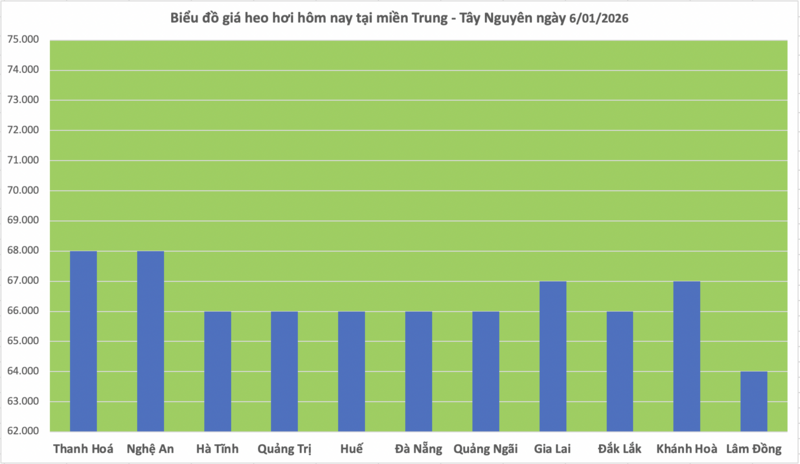 Giá heo hơi hôm nay 6/1/2026: Tăng 1.000 đồng - 2