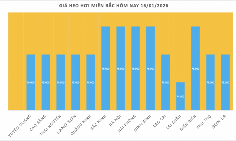 Giá heo hơi hôm nay 16/1/2026: Miền Trung, miền Nam tiếp tục tăng - 1