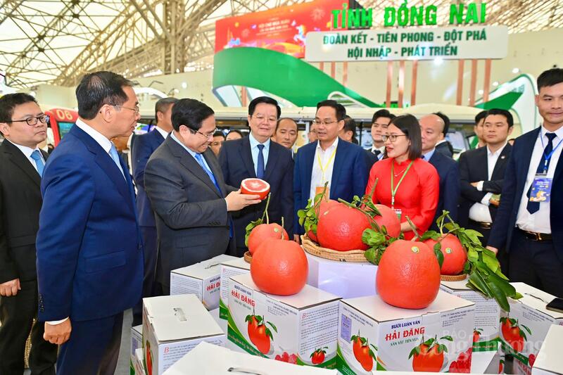 Chùm ảnh: Tưng bừng khai mạc Hội chợ Mùa Xuân - 11