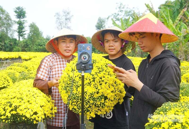 Phiên livestream bán hàng ngay tại vườn do anh Thiện Nhân và Trần Thanh Nguyên thực hiện nhằm kết nối trực tiếp nông sản với người tiêu dùng trên cả nước.