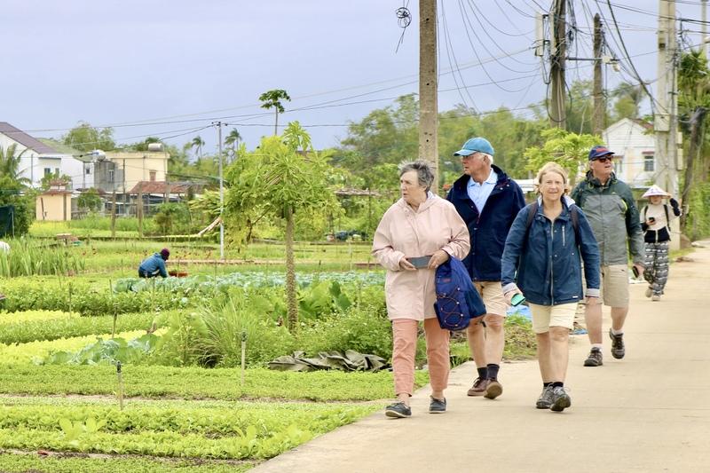 Làng rau Trà Quế đón hàng trăm lượt du khách đến tham quan và trải nghiệm mỗi ngày. Ảnh: Ngọc Thảo