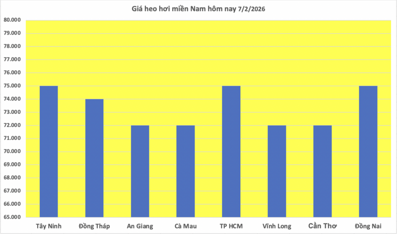Giá heo hơi hôm nay 7/2/2026: Tiếp đà giảm tại miền Trung, miền Nam - 3