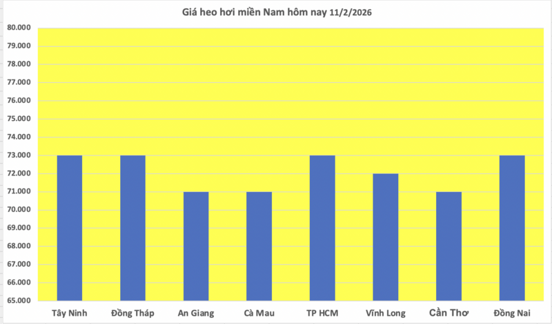 Giá heo hơi hôm nay 11/2/2026: Giảm đồng loạt trên cả nước - 3